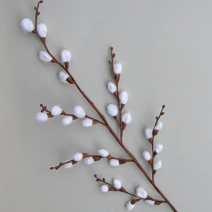 Palmkätzchen Zweig lang 80 cm - natur-weiß
