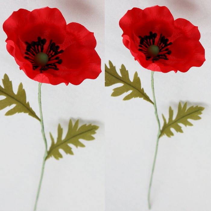 Mohnblume langstielig - rot