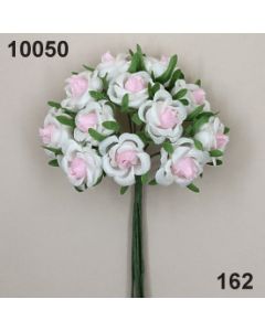 Princess-Rose - 10050