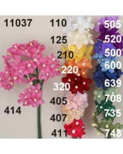 Hortensie mini x5 / 11037