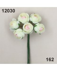 Ranunkel klein / 12030 