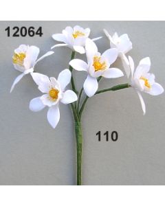 Orangenblüte / weiß / 12064.110