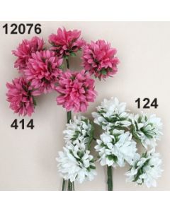 Kleeblüte / 12076