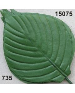 Salalblatt - dunkelgrün - 15075.735