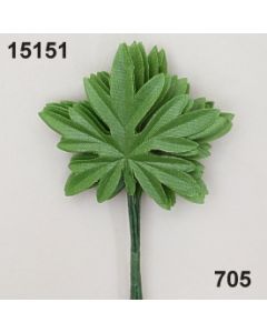 Ranunculus Blatt - hellgrün - 15151.705