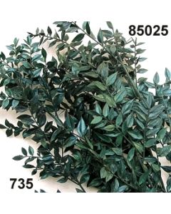 Ruscus präpariert / dunkelgrün / 85025.735