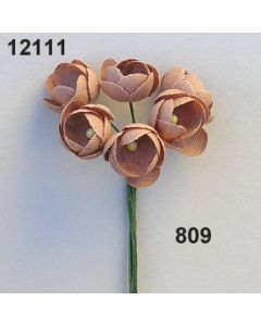 Cotton Rose  / zimt / 12111.809